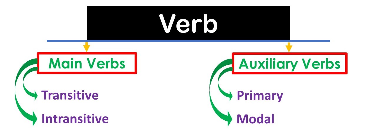 Verb Definition Types Of Verb Introduction Of Verb Exercise On Verb