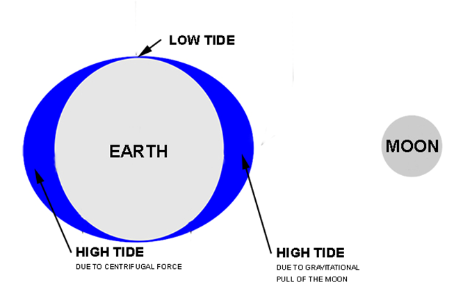 The Earth - AAtoons Study