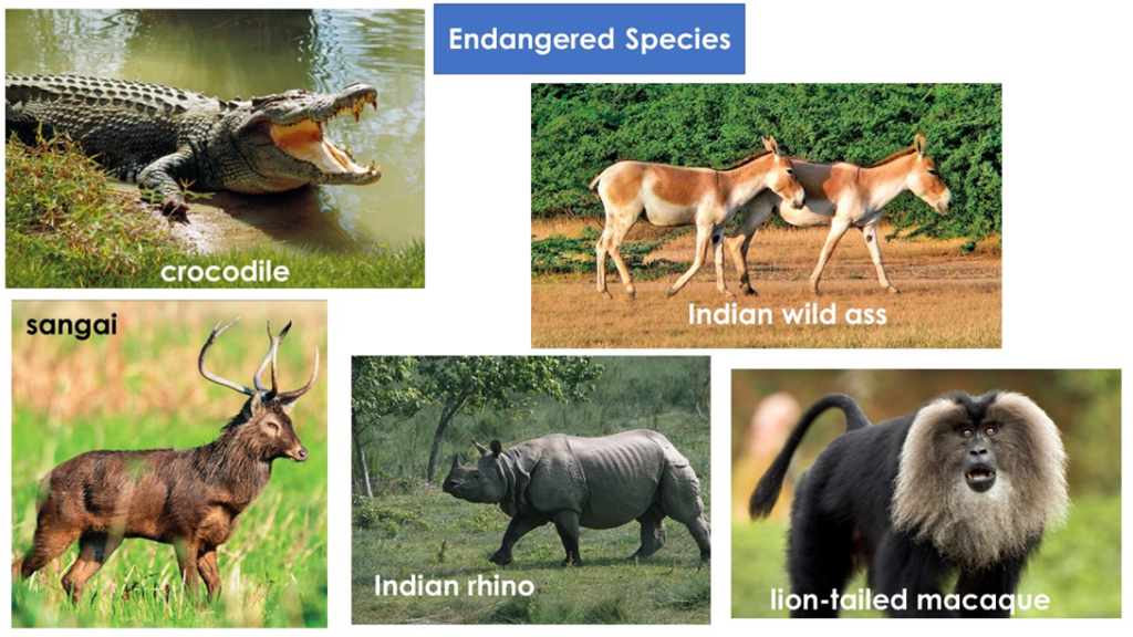 CBSE Class 10 Geography Forest and Wildlife Resources Notes - AAtoons Study