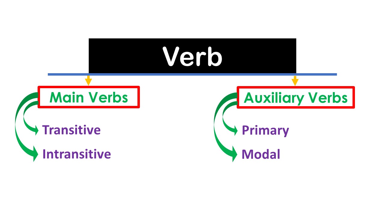 Verb Definition Types Of Verb Introduction Of Verb Exercise On Verb